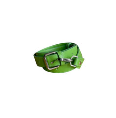 Geanta de piele mini Lock verde